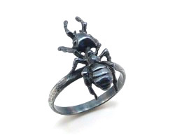 Carpenter Ant - Ring
